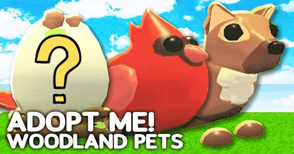 Make Your Adopt Me Choices To Find Which New Pet You Should Adopt